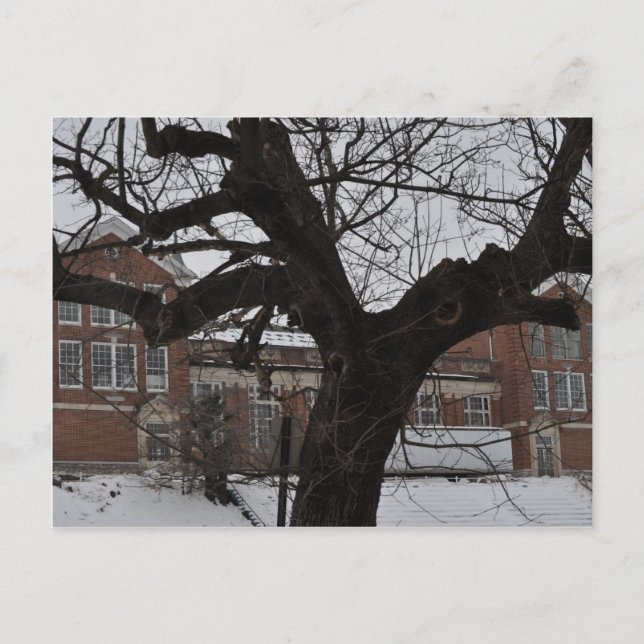Lee High Vykort (Framsida)
