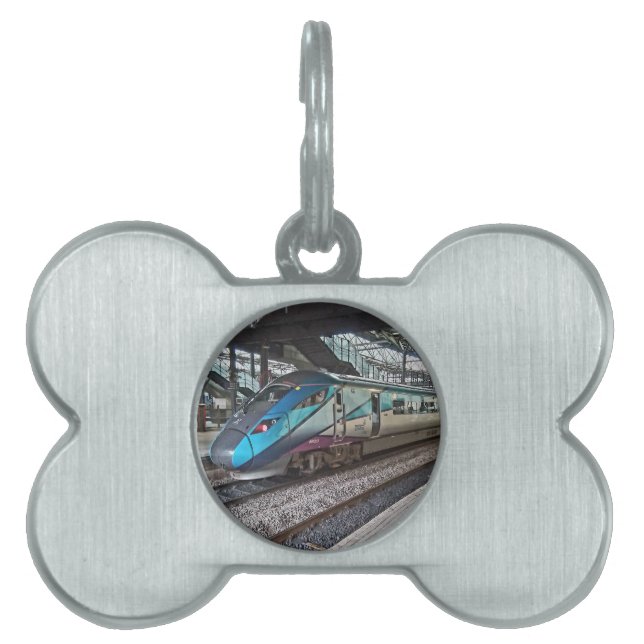Leeds station ID-bricka husdjur (Framsidan)