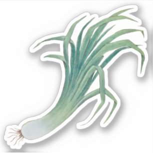 Leek Contour Sticker (fL), St. David's Day Leek Klistermärken