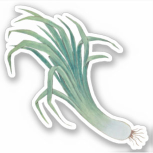 Leek Contour Sticker (fR) för St. David-dagen Klistermärken