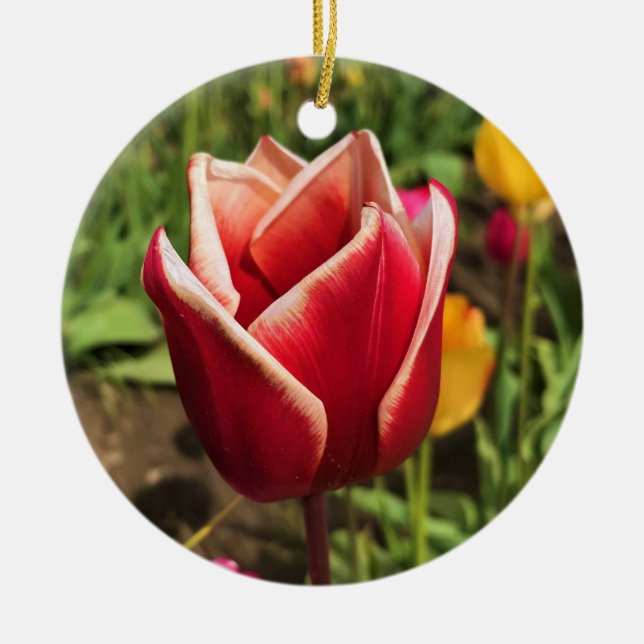 Leen Van Der Mark Tulip, Oregon Julgransprydnad Keramik (Framsidan)
