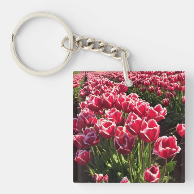 Leen Van Der Mark Tulips, Oregon (Framsidan)