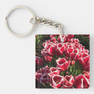 Leen Van Der Mark Tulips, Oregon