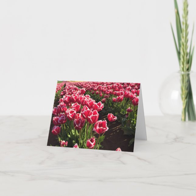 Leen Van Der Mark Tulips, Oregon Kort (Framsida)
