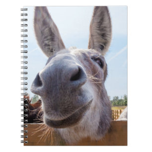 Leende bärbar dator från Donkey Anteckningsbok