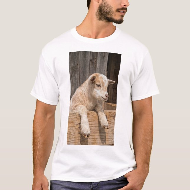 Leende Bebis Geting Rustik Bondgård Väggkonst Canv T Shirt (Framsida)
