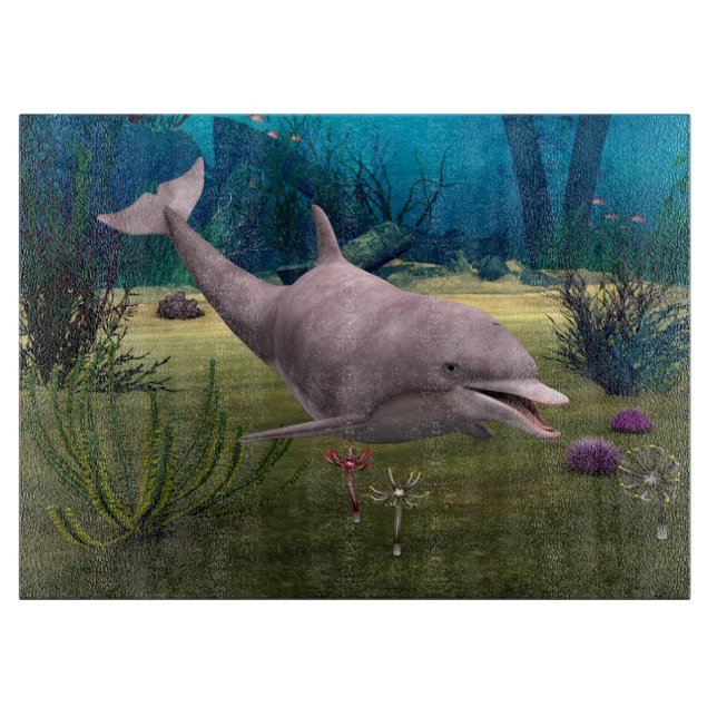 Leende delfin (Framsidan)