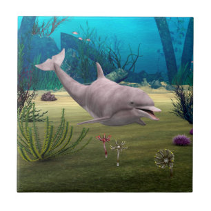 Leende delfin kakelplatta