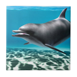 Leende delfin kakelplatta