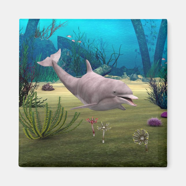 Leende delfin magnet (Framsidan)