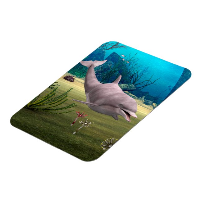 Leende delfin magnet (Vänstra Sidan)