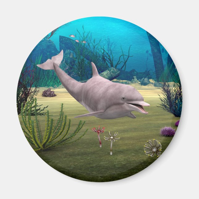 Leende delfin magnet (Framsidan)