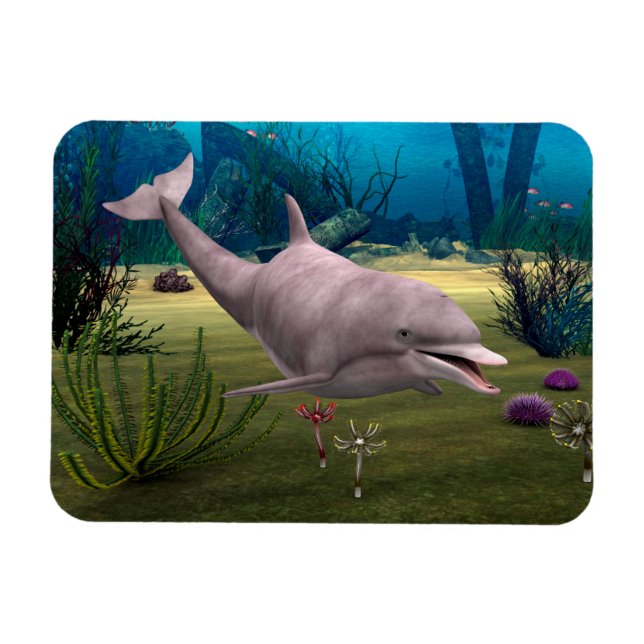Leende delfin magnet (Horisontell)