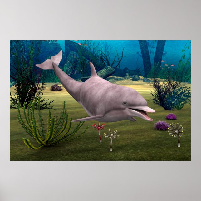 Leende delfin poster (Framsidan)