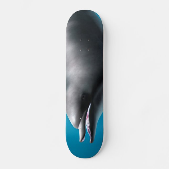 Leende delfin skateboard bräda 20 cm (Framsida)