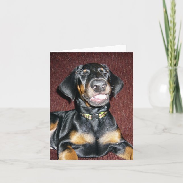 Leende Doberman Pinscher Valp - Tom Notkort Kort (Framsida)