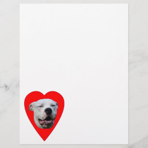 Leende Dogo Argentino