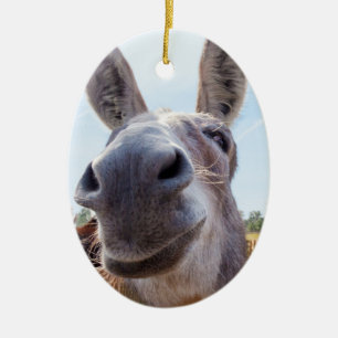 Leende Donkey-julprydnad Julgransprydnad Keramik