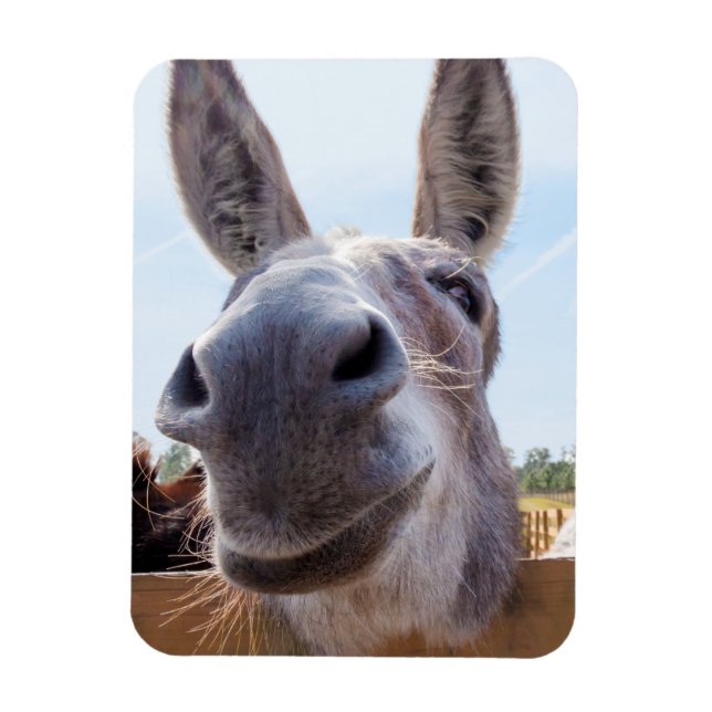 Leende Donkey Magnet (Vertikal)