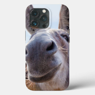 Leende Donkey med Fånig Flint