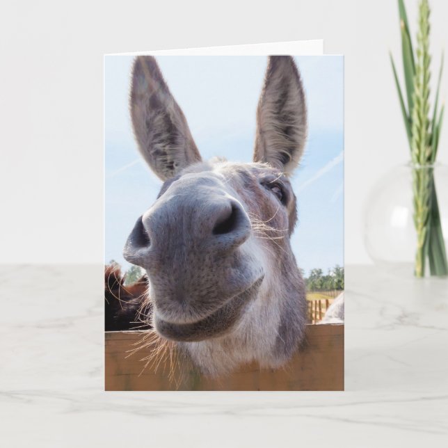 Leende Donkey med Fånig Flint Kort (Framsida)