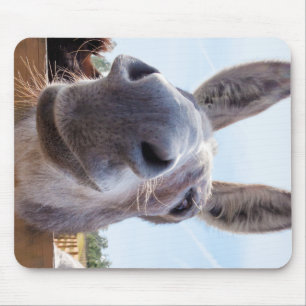 Leende Donkey med Fånig Flint Musmatta