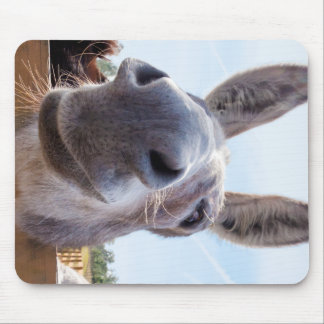 Leende Donkey med Fånig Flint Musmatta