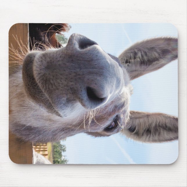 Leende Donkey med Fånig Flint Musmatta (Framsidan)