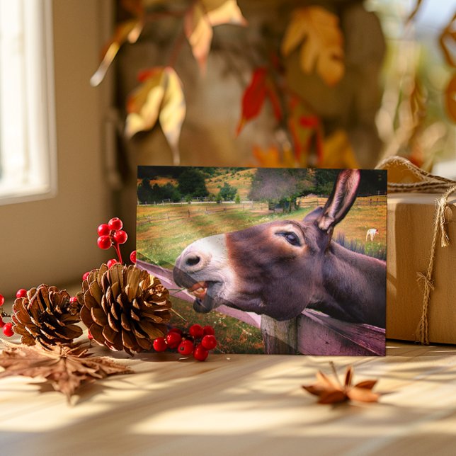 Leende Donkey på bete Vykort (Skapare uppladdad)