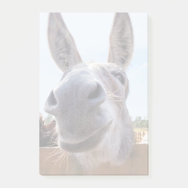 Leende Donkey Post-it Notes (Framsida)