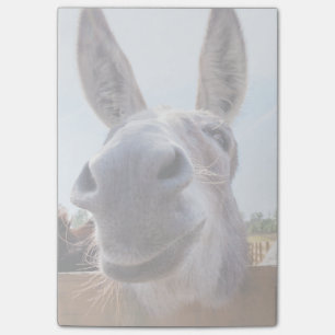 Leende Donkey Post-it Notes Block