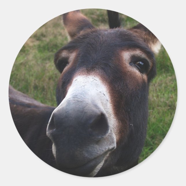 Leende Donkey Sticker Runt Klistermärke (Framsida)