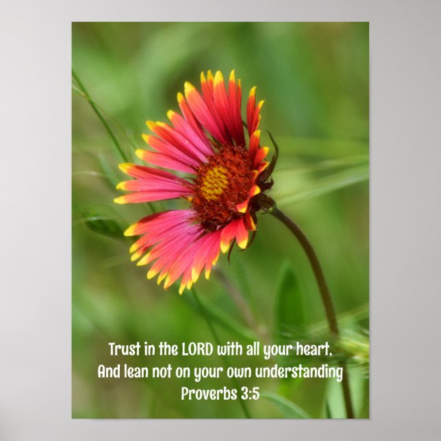 Leende Firejul Wildblomma och Bible Verse Poster (Framsidan)