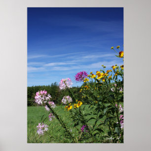 Leende Flowers Poster