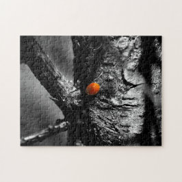 leende för en nyckelpiga pussel