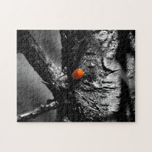 leende för en nyckelpiga pussel