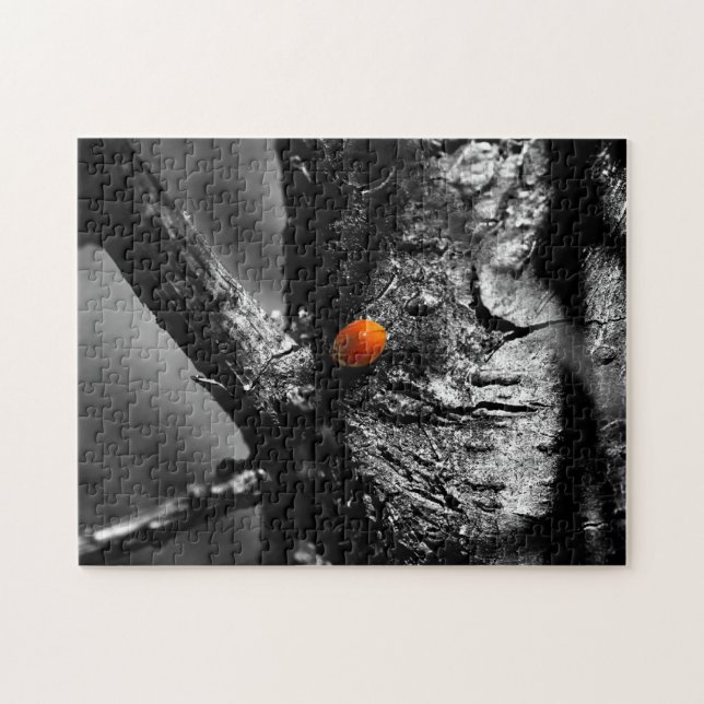 leende för en nyckelpiga pussel (Horisontell)