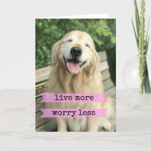 Leende Golden Retriever Hund lever ännu mer oroand Kort