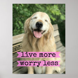 Leende Golden Retriever Hund lever ännu mer oroand Poster