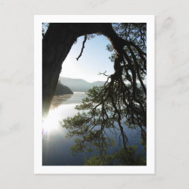 Leende Gräs: Friar's Crag, Derwentwater Postcard Vykort