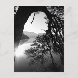 Leende Gräs: Friars krag, Derwentwater Vykort