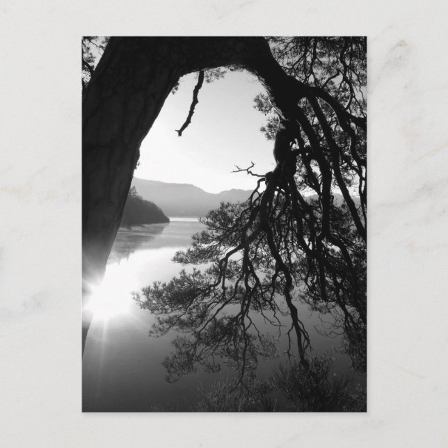 Leende Gräs: Friars krag, Derwentwater Vykort (Framsida)