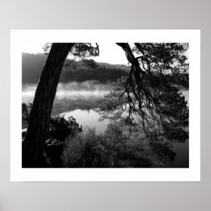 Leende Gräs vid Derwentwater Poster