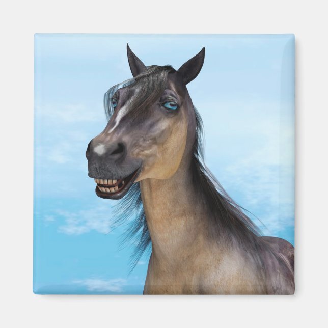 Leende häst magnet (Framsidan)