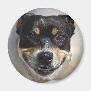 Leende hundmagnet magnet