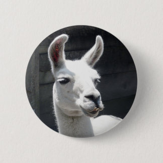 Leende Llama-knapp Knapp