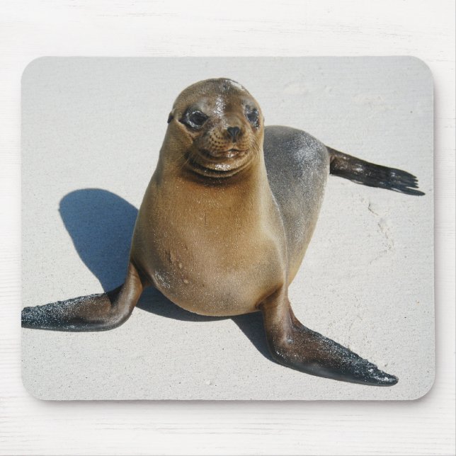 Leende Musmatta (Framsidan)