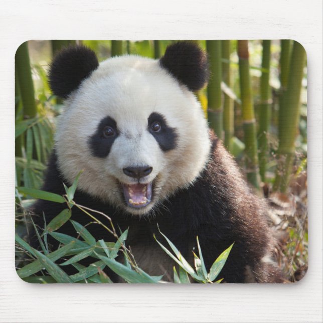 Leende Panda Porträtt Musmatta (Framsidan)