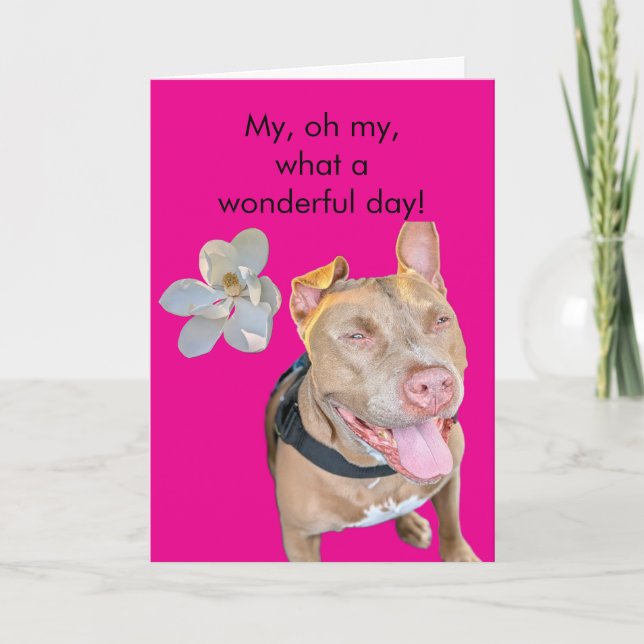 Leende Pit Bull Födelsedag Kort (Framsida)