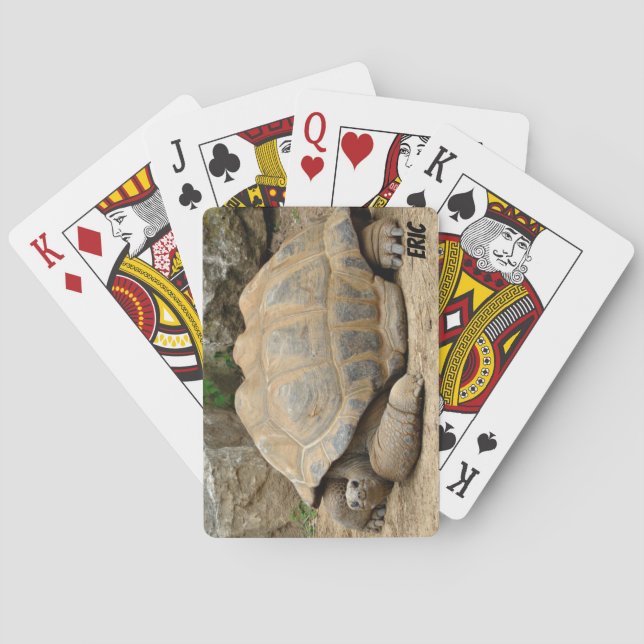 Leende Sköldpadda  Casinokort (Baksidan)